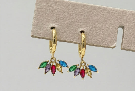 Multicolour Earrings