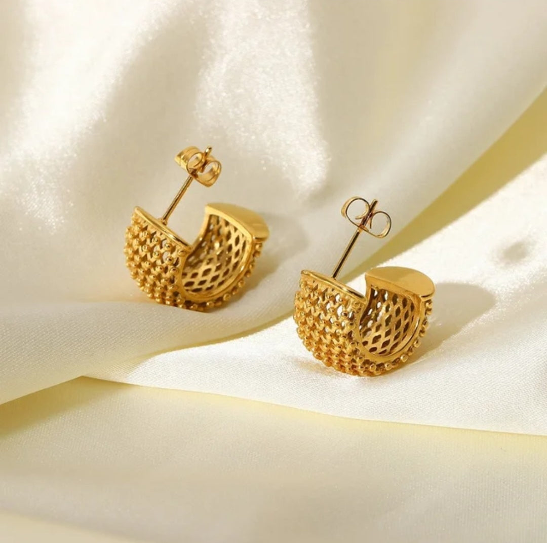 Ziya Hoops